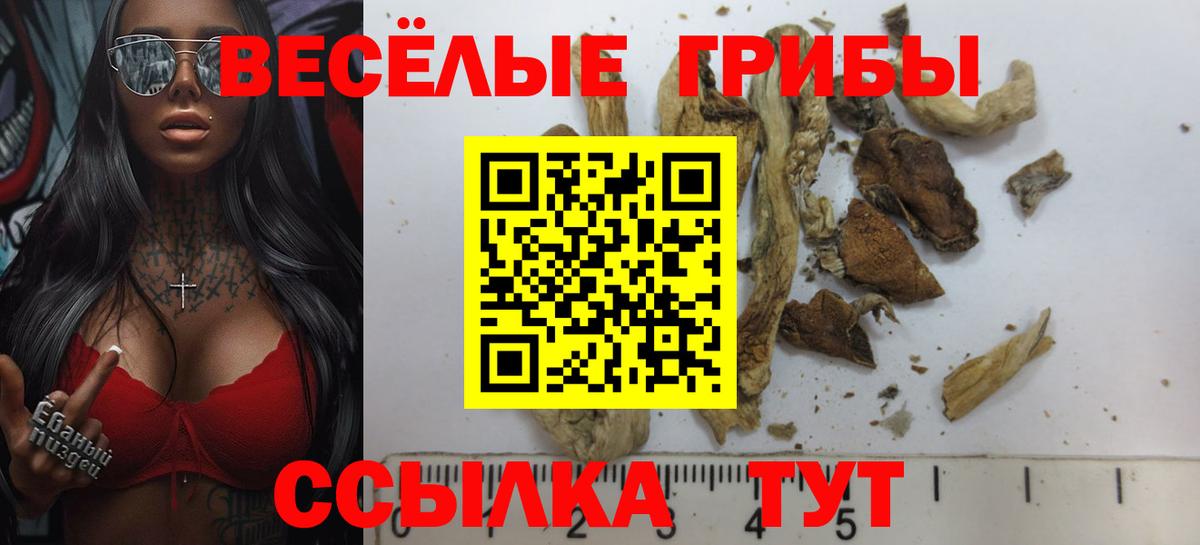 Псилоцибиновые грибы MAGIC MUSHROOMS Обнинск