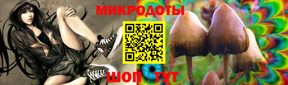 Псилоцибиновые грибы MAGIC MUSHROOMS  Псилоцибиновые грибы GOLDEN TEACHER  Вход с VPN  дарнет шоп  Обнинск 